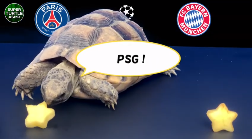 Ti&ecirc;n tri R&ugrave;a dự đo&aacute;n PSG vs Bayern Munich, 2h ng&agrave;y 24/8
